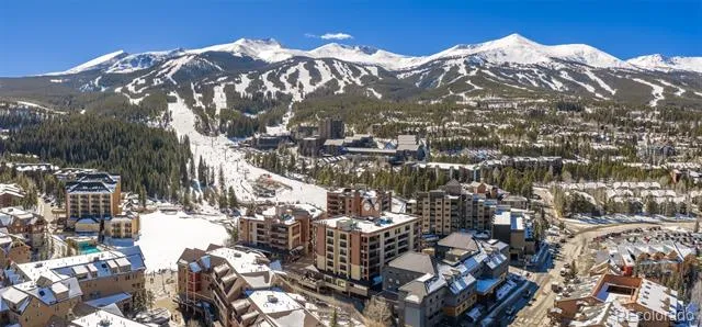 535 S Park Avenue #505 Breckenridge, CO 80424