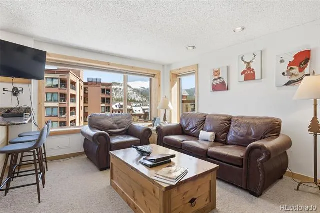 535 S Park Avenue #505 Breckenridge, CO 80424