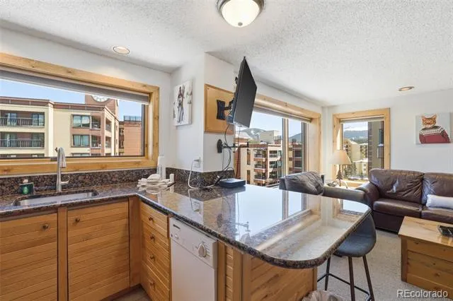 535 S Park Avenue #505 Breckenridge, CO 80424