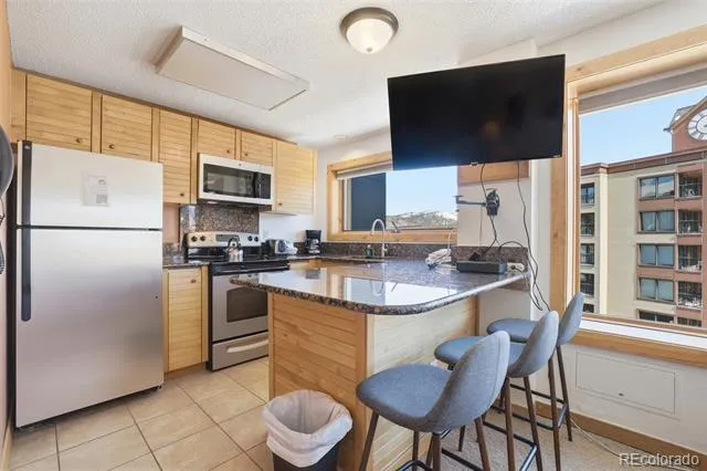 535 S Park Avenue #505 Breckenridge, CO 80424
