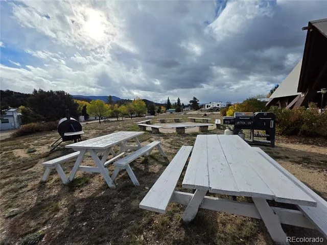 10795 County Road 197a Unit 191 Nathrop, CO 81236