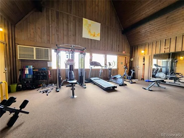 10795 County Road 197a Unit 191 Nathrop, CO 81236