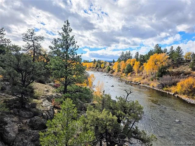 10795 County Road 197a Unit 191 Nathrop, CO 81236