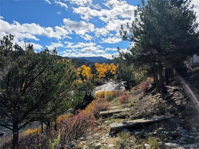 10795 County Road 197a Unit 191 Nathrop, CO 81236