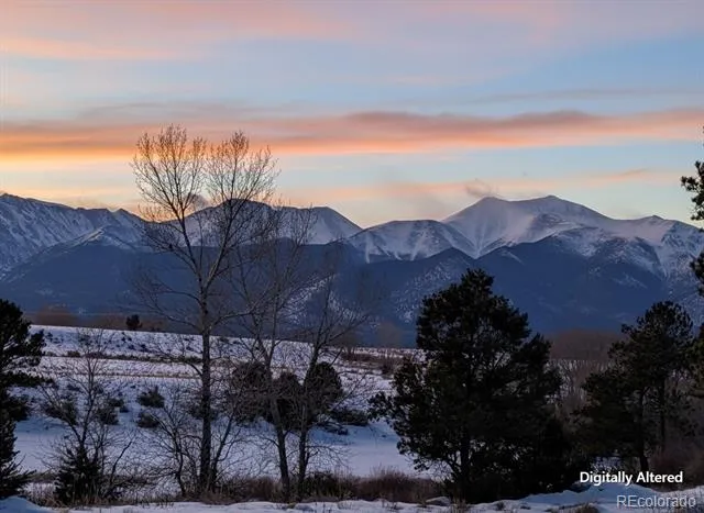 10795 County Road 197a Unit 191 Nathrop, CO 81236