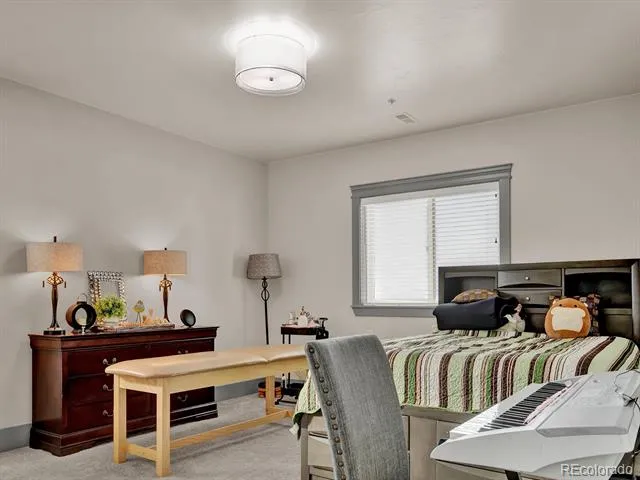 9935 E 138th Place Brighton, CO 80602