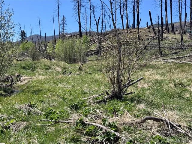 Lot 1005 Foy Place Fort Garland, CO 81133