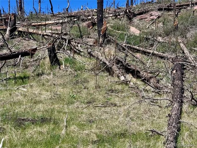 Lot 1005 Foy Place Fort Garland, CO 81133