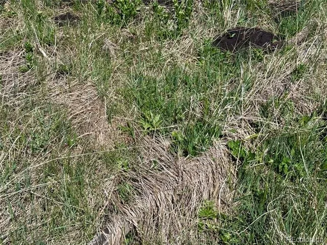 Lot 1005 Foy Place Fort Garland, CO 81133