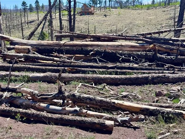 Lot 1005 Foy Place Fort Garland, CO 81133