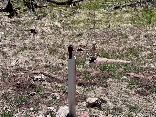 Lot 1005 Foy Place Fort Garland, CO 81133