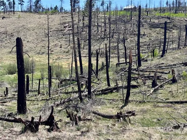 Lot 1005 Foy Place Fort Garland, CO 81133