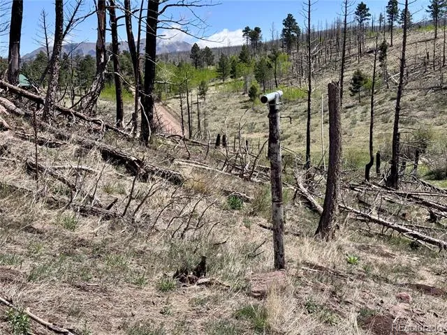 Lot 1005 Foy Place Fort Garland, CO 81133