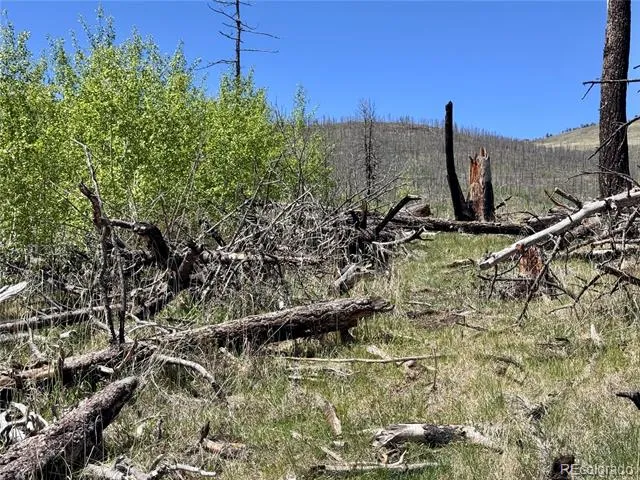 Lot 1005 Foy Place Fort Garland, CO 81133