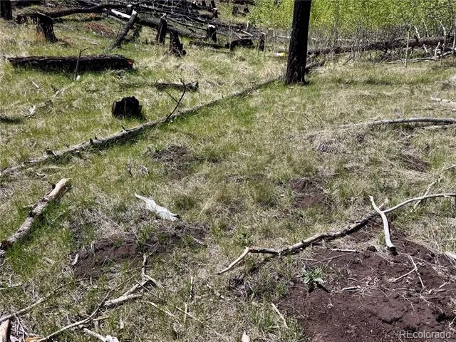 Lot 1005 Foy Place Fort Garland, CO 81133
