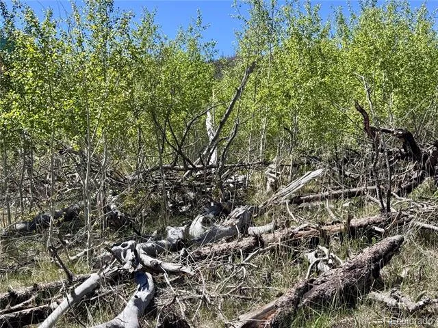 Lot 1005 Foy Place Fort Garland, CO 81133