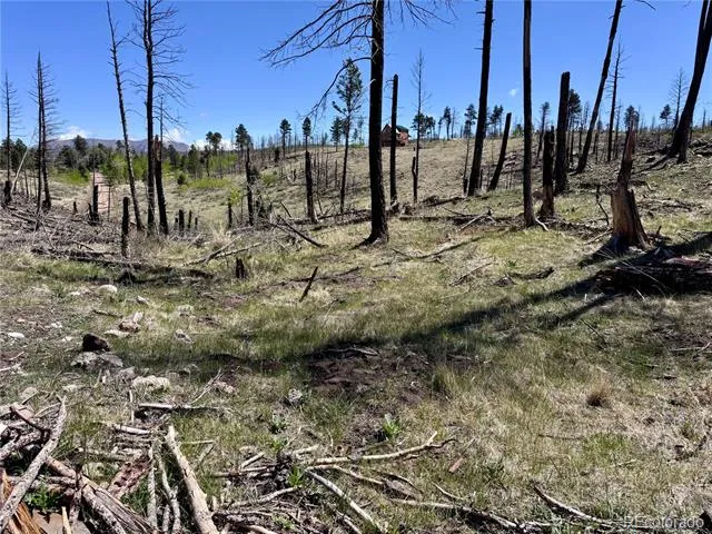 Lot 1005 Foy Place Fort Garland, CO 81133