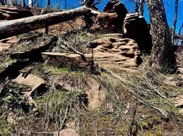 Lot 1005 Foy Place Fort Garland, CO 81133