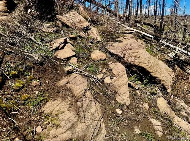 Lot 1005 Foy Place Fort Garland, CO 81133