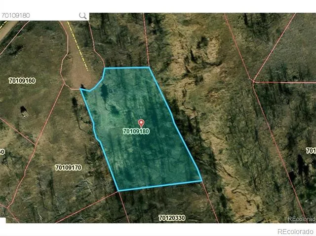 Lot 1005 Foy Place Fort Garland, CO 81133