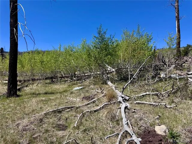 Lot 1005 Foy Place Fort Garland, CO 81133