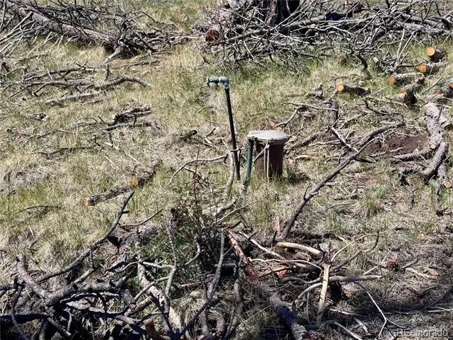 Lot 1005 Foy Place Fort Garland, CO 81133