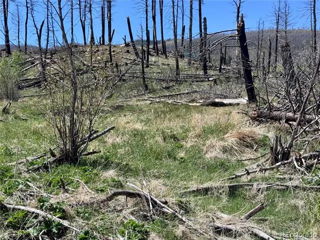Lot 1005 Foy Place Fort Garland, CO 81133