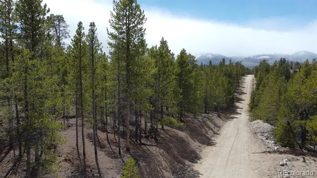 104 Spruce Drive Twin Lakes, CO 81251