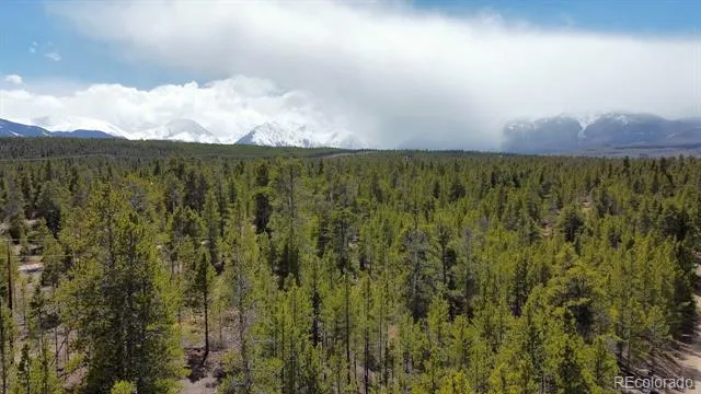 104 Spruce Drive Twin Lakes, CO 81251