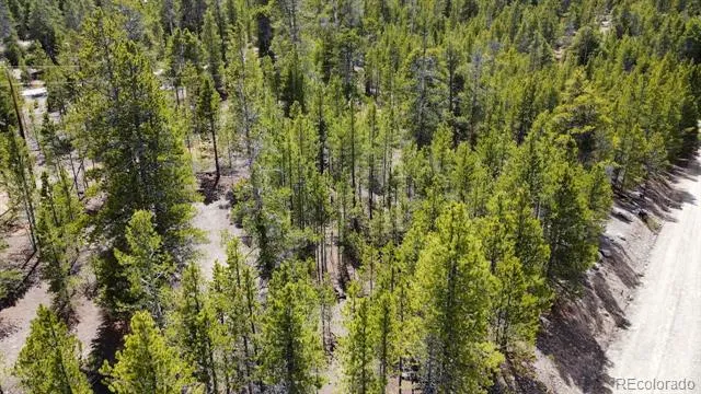 104 Spruce Drive Twin Lakes, CO 81251
