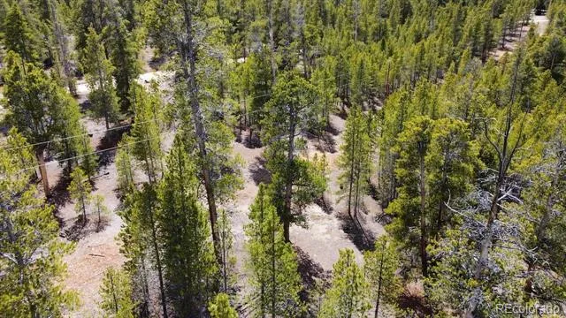 104 Spruce Drive Twin Lakes, CO 81251