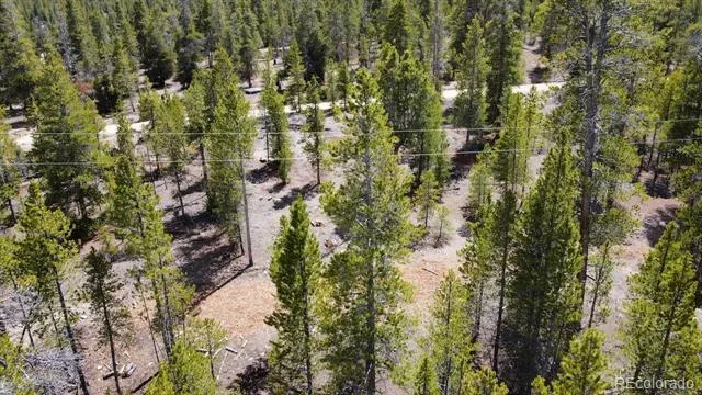 104 Spruce Drive Twin Lakes, CO 81251