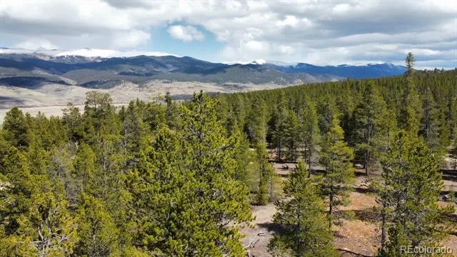 104 Spruce Drive Twin Lakes, CO 81251