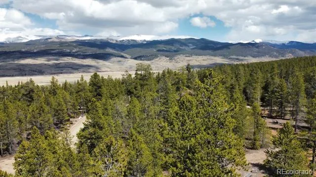 104 Spruce Drive Twin Lakes, CO 81251