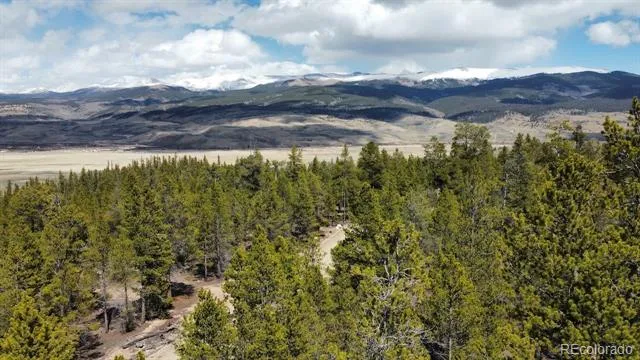 104 Spruce Drive Twin Lakes, CO 81251