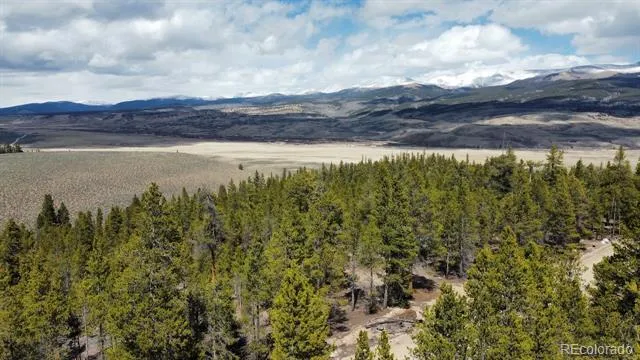 104 Spruce Drive Twin Lakes, CO 81251