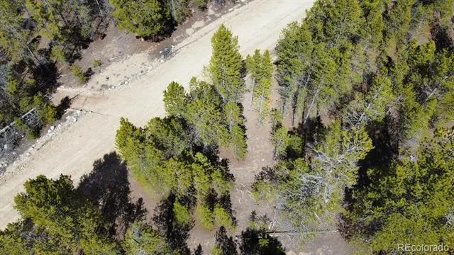 104 Spruce Drive Twin Lakes, CO 81251