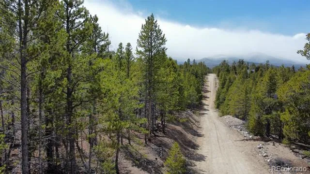 104 Spruce Drive Twin Lakes, CO 81251
