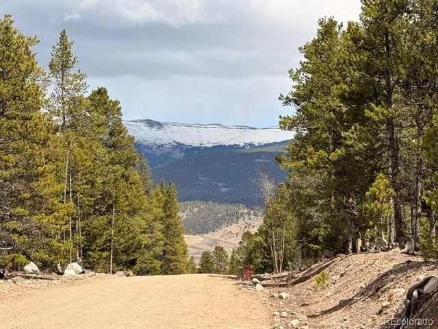 104 Spruce Drive Twin Lakes, CO 81251