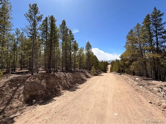 104 Spruce Drive Twin Lakes, CO 81251