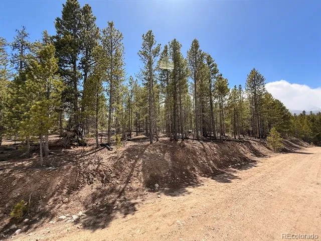 104 Spruce Drive Twin Lakes, CO 81251