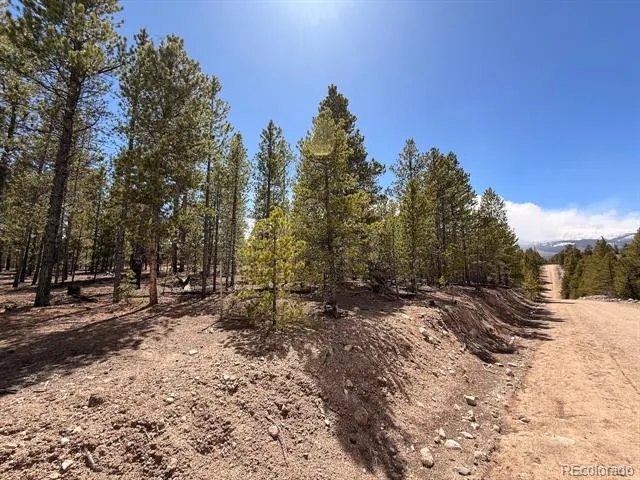 104 Spruce Drive Twin Lakes, CO 81251