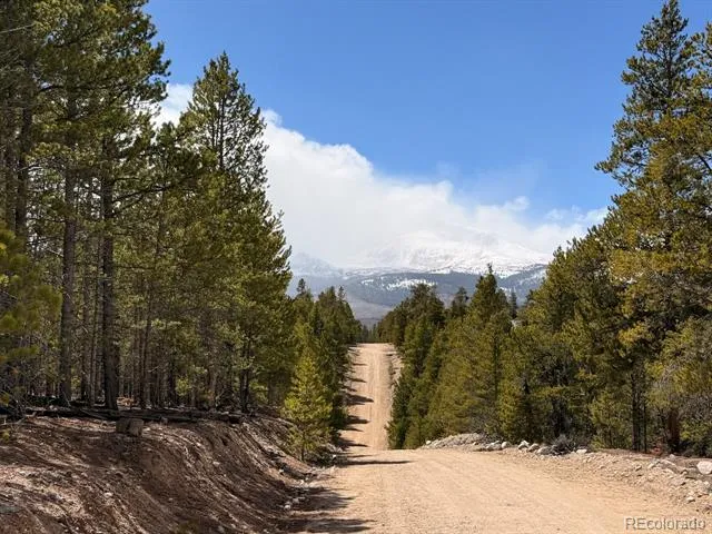 104 Spruce Drive Twin Lakes, CO 81251