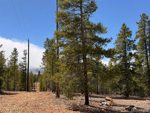 104 Spruce Drive Twin Lakes, CO 81251