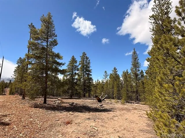 104 Spruce Drive Twin Lakes, CO 81251