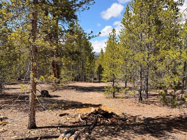 104 Spruce Drive Twin Lakes, CO 81251