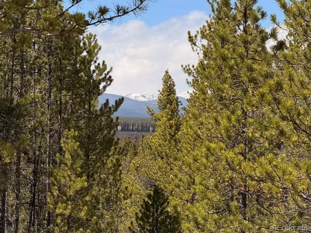 104 Spruce Drive Twin Lakes, CO 81251