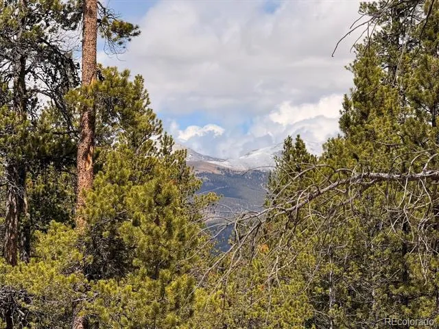 104 Spruce Drive Twin Lakes, CO 81251