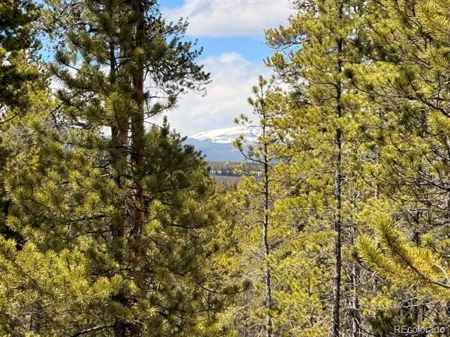 104 Spruce Drive Twin Lakes, CO 81251