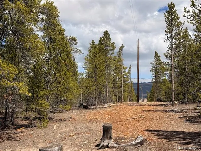 104 Spruce Drive Twin Lakes, CO 81251